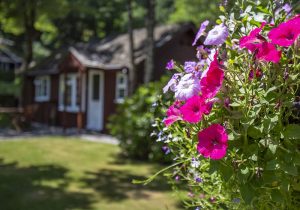 flower lodges