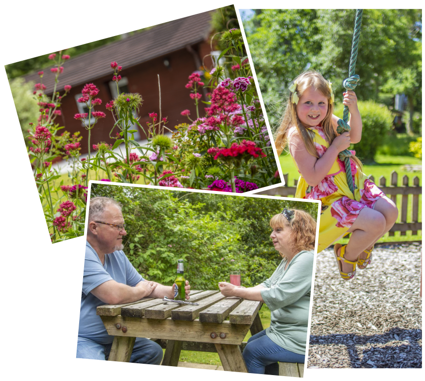 family about park woodland