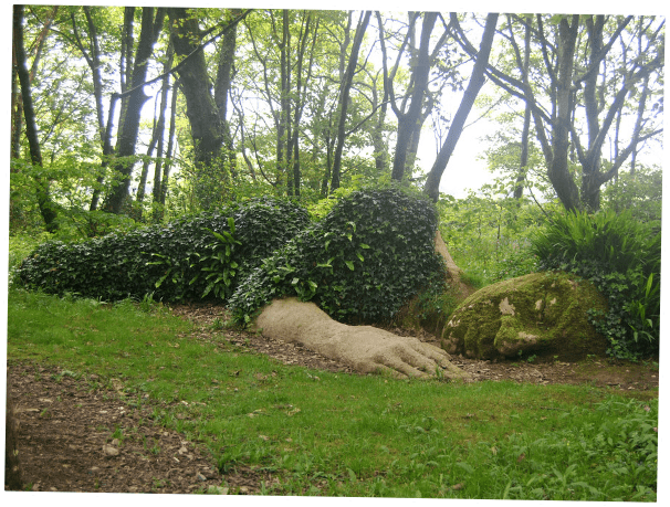 gardens of heligan