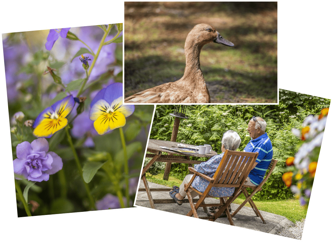 peaceful park about lodges cornwall