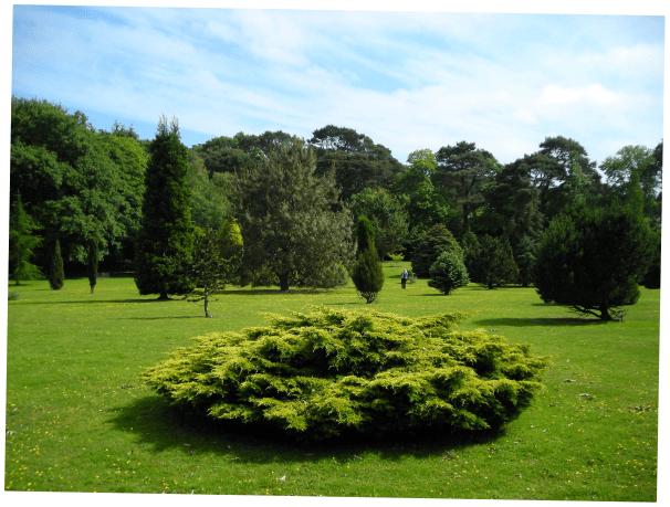 pinetum gardens